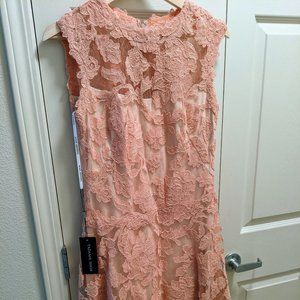 NWT Tadashi Shoji Tamura Lace Dress